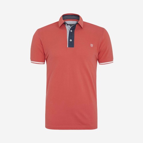 Polo Shirts